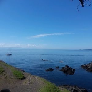 Meet your Posher, Jess